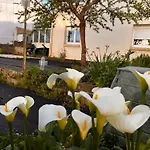 Comme A La Maison