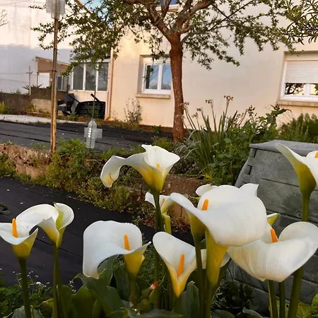 Comme A La Maison